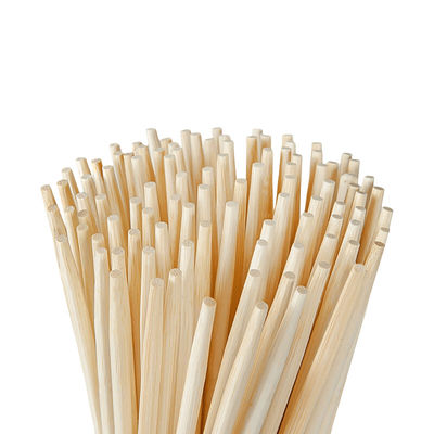 BAMBOO bastoncini a sfera bastoncini monouso 100% naturali